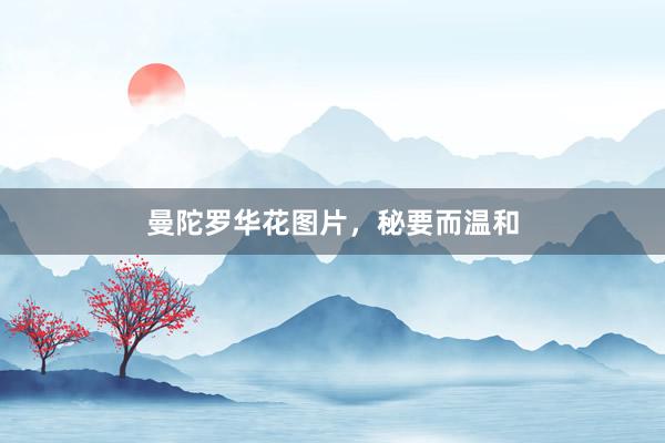曼陀罗华花图片，秘要而温和